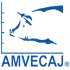 AVMECAJ 2020	