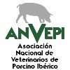 Presentación del XIII Foro ANVEPI