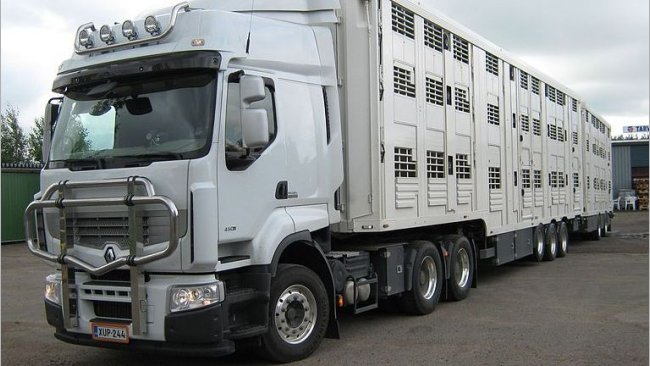 transporte animales covid-19