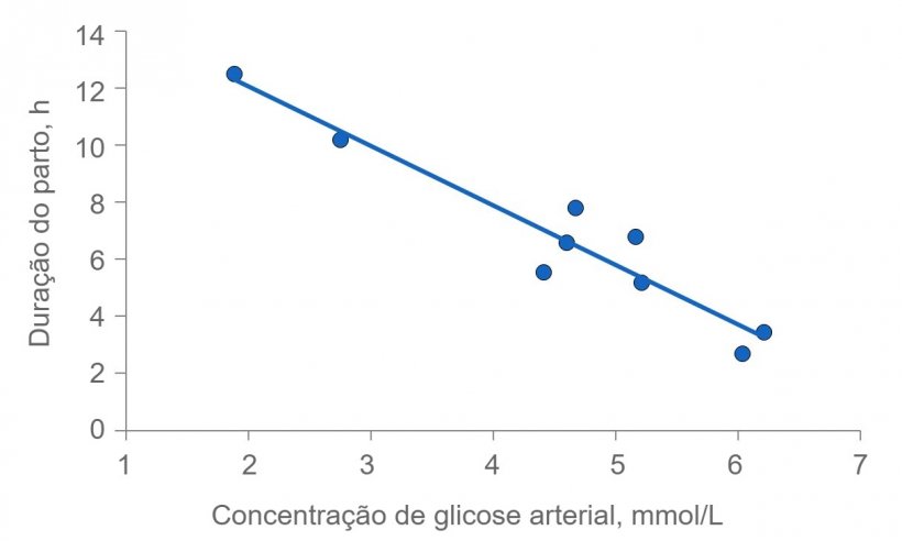 Figura 2:&nbsp;A dura&ccedil;&atilde;o do parto prolonga-se muito quando&nbsp;a energia das matrizes se esgota. Normalmente, a glicose plasm&aacute;tica mant&eacute;m-se constante em 4,5 (intervalo de 4 a 5) mmol/L,&nbsp;mas pouco depois da alimenta&ccedil;&atilde;o&nbsp;este n&iacute;vel &eacute; superado&nbsp;e v&aacute;rias horas ap&oacute;s a alimenta&ccedil;&atilde;o, a glicose plasm&aacute;tica pode ser comprometida pelo esgotamento do&nbsp;dep&oacute;sito de&nbsp;glicog&ecirc;nio no f&iacute;gado.
