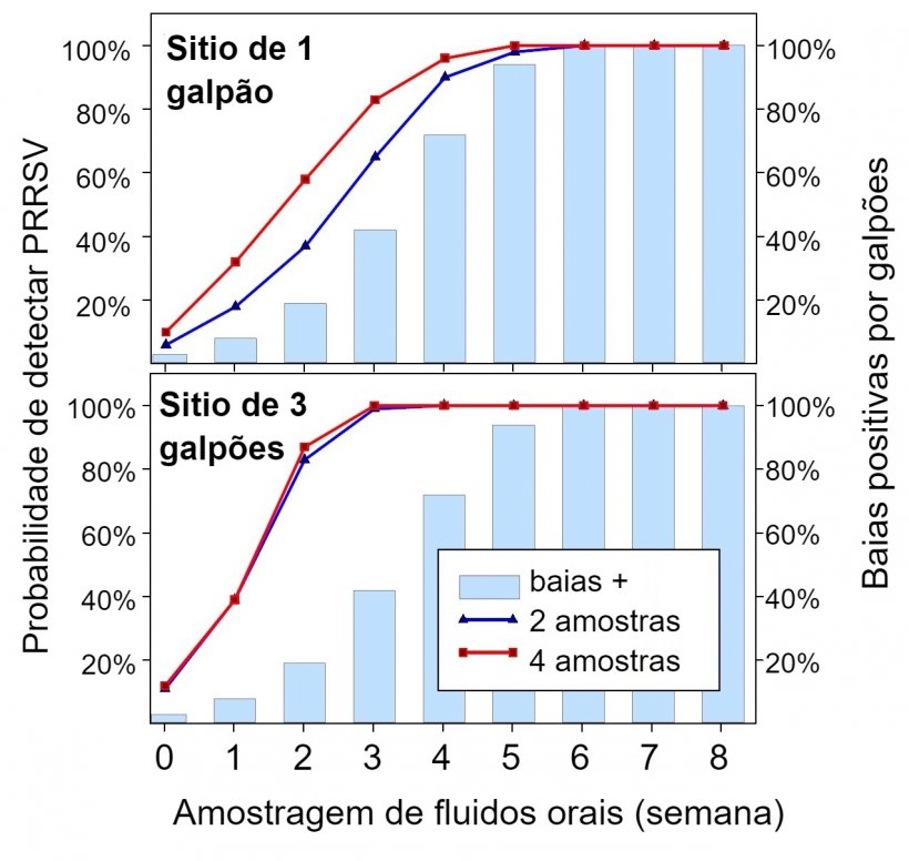 Figura 1. Detec&ccedil;&atilde;o de PRRSV usando amostragem espacial fixa. Probabilidade de detectar &ge; 1 amostra positiva para PRRSV em fun&ccedil;&atilde;o do n&uacute;mero de amostras coletadas por baia (2 ou 4) e do n&uacute;mero de baias amostradas por granja (1 ou 3). Observe que a probabilidade de detec&ccedil;&atilde;o aumenta geometricamente com o n&uacute;mero de cordas e galp&otilde;es amostrados. Dados de Rotolo et al., (2017). 
