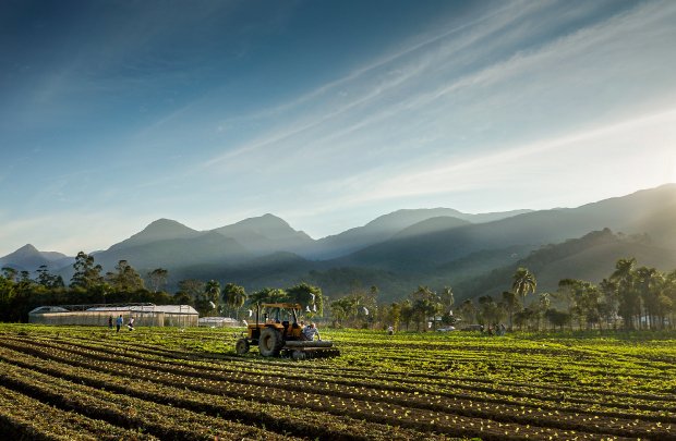 Foto: Ricardo Wolffenbüttel / Secom