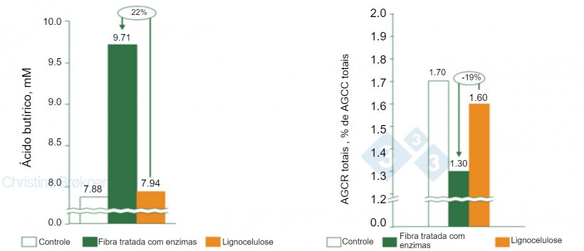 Figura 1. Controle = sem fibra, Fibra tratada com enzima = PNA sol&uacute;vel, Lignocelulose = PNA insol&uacute;vel. (A) A produ&ccedil;&atilde;o de &aacute;cido but&iacute;rico aumenta 22% em leit&otilde;es (15 kg) durante a fermenta&ccedil;&atilde;o da fibra sol&uacute;vel. (B) A fermenta&ccedil;&atilde;o da prote&iacute;na &eacute; reduzida em 19% em leit&otilde;es (15 kg) pela fermenta&ccedil;&atilde;o da fibra sol&uacute;vel. SCFA = &aacute;cidos graxos de cadeia curta, SCFA = &aacute;cidos graxos de cadeia ramificada.
