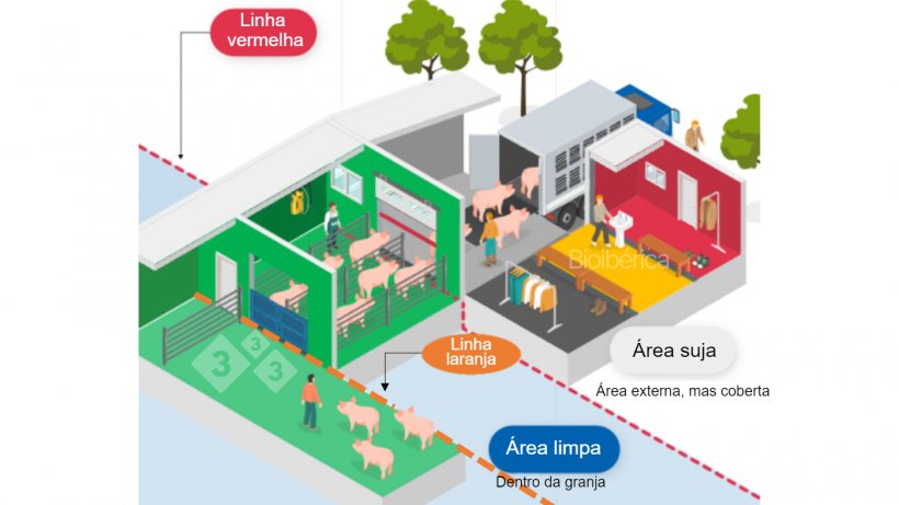 Imagem 1. &Aacute;rea de carregamento projetada para carregar su&iacute;nos em um caminh&atilde;o. Uma dupla linha de separa&ccedil;&atilde;o (linha pontilhadas vermelha e laranja) foi criada entre as &aacute;reas limpas e sujas para melhorar a biosseguran&ccedil;a desse processo. Essa imagem &eacute; cortesia de Bioiberica.
