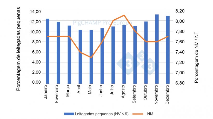 Gr&aacute;fico 3. Distribui&ccedil;&atilde;o percentual de leit&otilde;es NM e leitegadas pequenas (NV&le;9 leit&otilde;es), 2018-2019.
