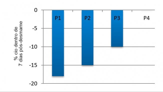 Imagem&nbsp;3. Efeito do ciclo na porcentagem de porcas expressando cio nos primeiros 7 dias p&oacute;s-desmame no ver&atilde;o em compara&ccedil;&atilde;o com a primavera&nbsp;(adaptado de Belstra e&nbsp;outros, 2004)
