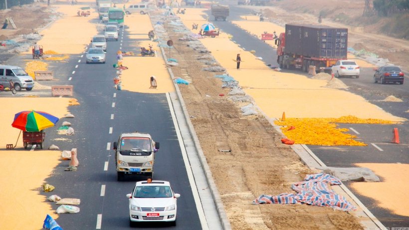 Imagem&nbsp;1. Agricultores chineses secando milho no asfalto quente. Fonte: Ch&eacute;n fēi/CFP,&nbsp;News163
