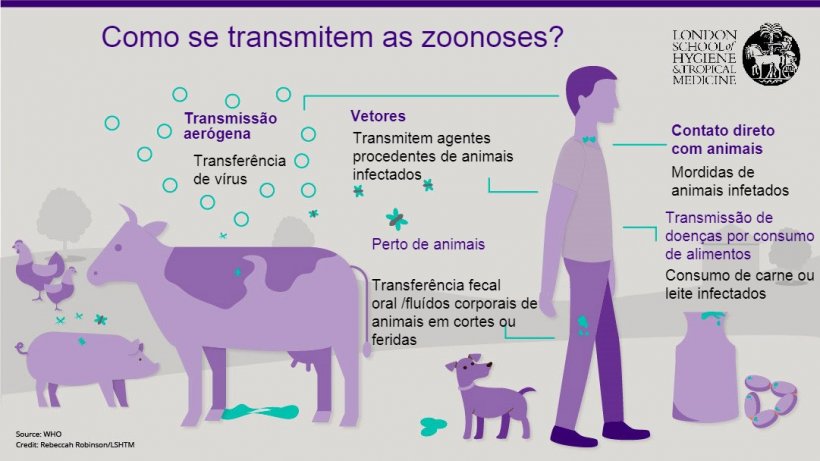 Figura 1.&nbsp;Vias de transmiss&atilde;o de doen&ccedil;as zoon&oacute;ticas. Zoonoses s&atilde;o doen&ccedil;as infecciosas que podem ser transmitidas de animais para humanos, mas tamb&eacute;m de humanos para animais. Fonte: London School of Hygiene and Tropical Medicine.
