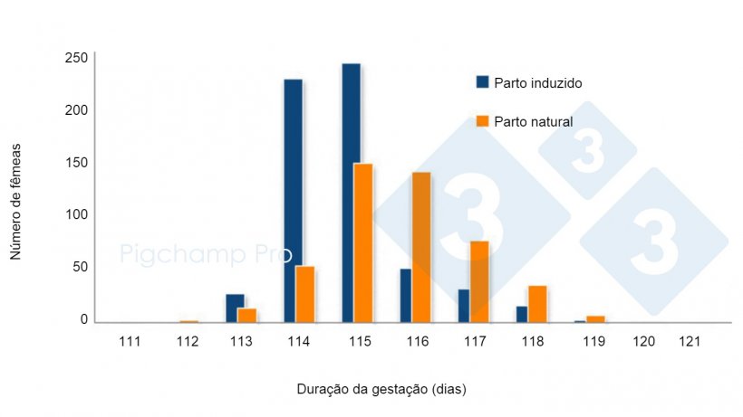 Gr&aacute;fico&nbsp;3. Compara&ccedil;&atilde;o da dura&ccedil;&atilde;o da gesta&ccedil;&atilde;o entre o parto induzido aos 114 dias e o parto natural em uma granja espec&iacute;fica (&iquest;Nos est&aacute;n pidiendo las cerdas el 3tres4? 2/2).
