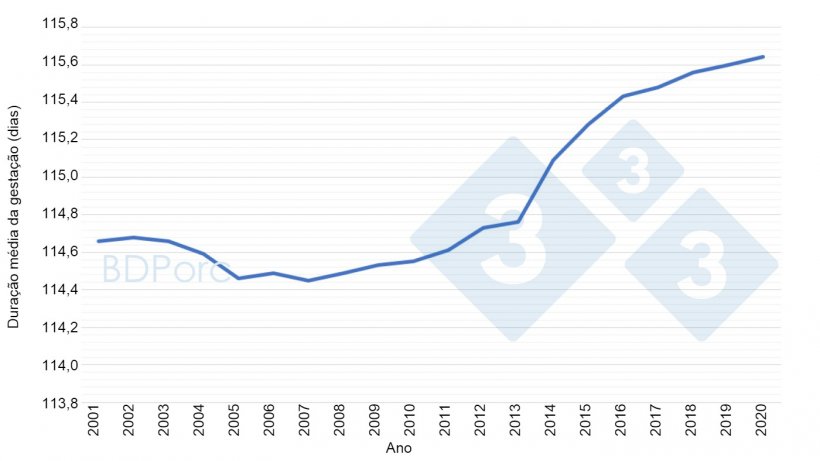 Gr&aacute;fico&nbsp;2. Dura&ccedil;&atilde;o&nbsp;m&eacute;dia da&nbsp;gesta&ccedil;&atilde;o&nbsp;das f&ecirc;meas su&iacute;nas&nbsp;na&nbsp;Espanha&nbsp;de 2001 a 2020. Fonte: BDPorc.
