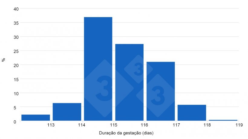 Gr&aacute;fico&nbsp;1. As&nbsp;respostas&nbsp;dos usu&aacute;rios da&nbsp;333 indicam&nbsp;uma tend&ecirc;ncia das gesta&ccedil;&otilde;es serem&nbsp;superiores a 115 dias.
