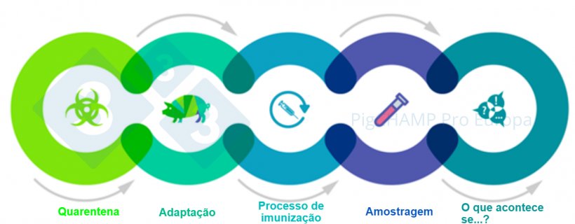 Figura 1. Aspectos principais interligados que devem ser conhecidos antes da visita.
