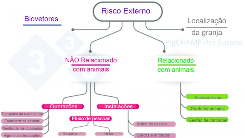 Figura 3.Esquema para analisar os principais fatores de risco externos ao visitar a granja.
