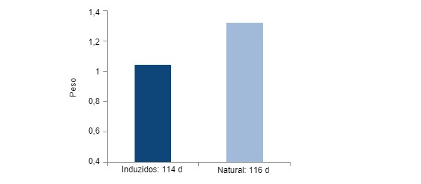 Compara&ccedil;&atilde;o do peso no nascimento de partos induzidos aos 114 d e partos naturais aos 116 d em f&ecirc;meas hiperprol&iacute;ficas.
