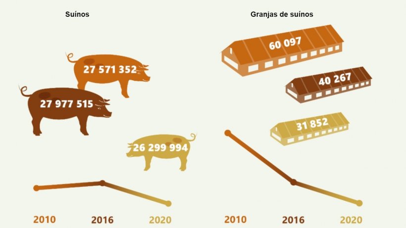 Desenvolvimento de fazendas e rebanhos de su&iacute;nos na Alemanha 2010-2020. Fonte: Destatis
