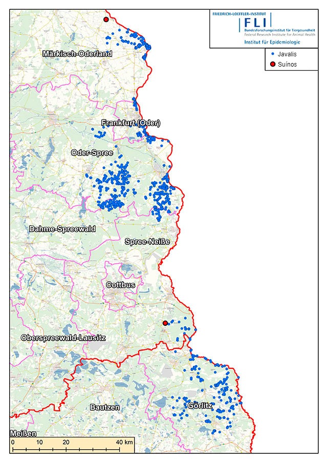 Mapa de casos de PSA na Alemanha (em 16 de julho de 2021). Fonte: FLI
