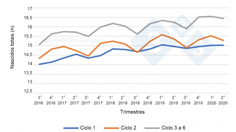 Gr&aacute;fico 5.&nbsp;Prolificidade por ciclo e trimestres de cobertura, per&iacute;odo de cobertura de 16 de julho a 20 de junho.
