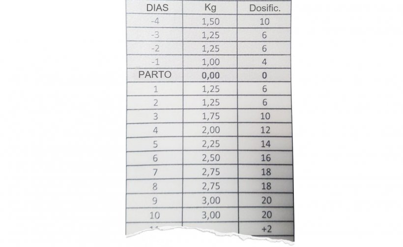 Figura 1: O mais conveniente &eacute; definir uma curva de alimenta&ccedil;&atilde;o e que, diariamente, se ajustem os doseadores em fun&ccedil;&atilde;o de se a porca comeu ou n&atilde;o.
