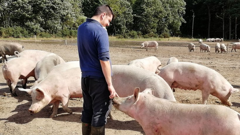 A rela&ccedil;&atilde;o que se desenvolve entre animal e pessoa &eacute; completamente diferente.
