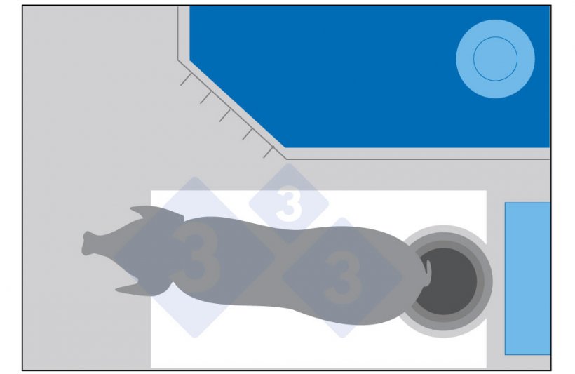 Figura 1. Se a matriz&nbsp;pode se mover, &eacute; poss&iacute;vel que ela d&ecirc; as costas para o comedouro para defecar, sujando a &aacute;rea da frente do comedouro.
