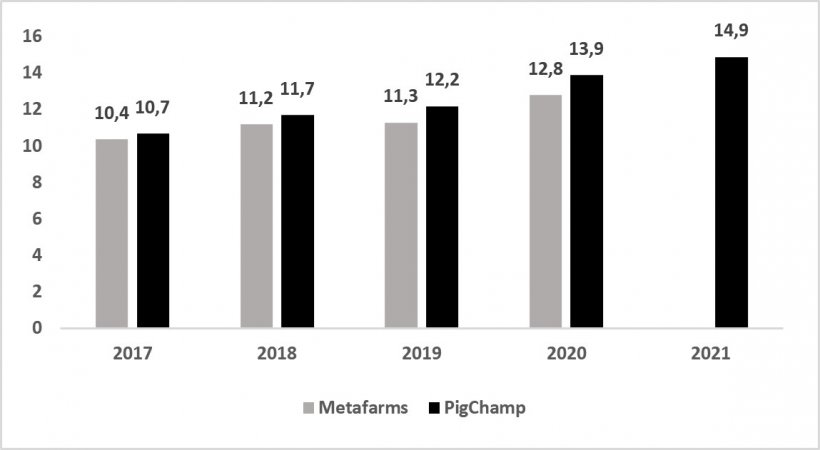 Figura 1: Hist&oacute;rico de mortalidade de matrizes su&iacute;nas em rebanhos americanos de 2017 a 2021. Adaptado de Porkcheckoff (2021).
