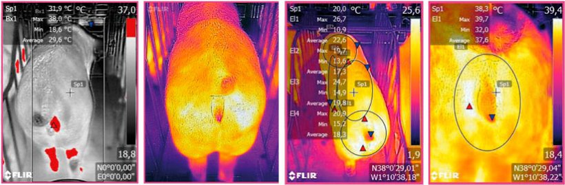 Figura 3: Imagem&nbsp;termogr&aacute;fica tomada mediante um&nbsp;dispositivo FLIR conectado a um&nbsp;Smartphone. Fonte: Ramis el al. 2017
