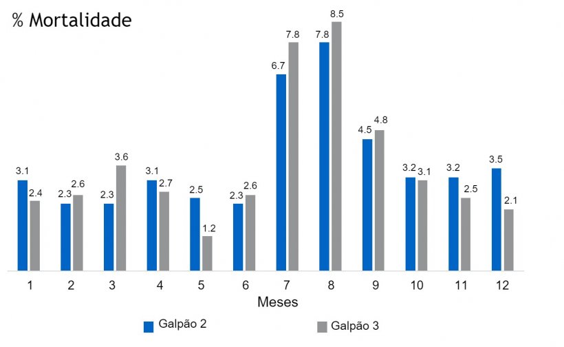 Figura&nbsp;&nbsp;2. % Mortalidade no galp&atilde;o 2 e 3.
