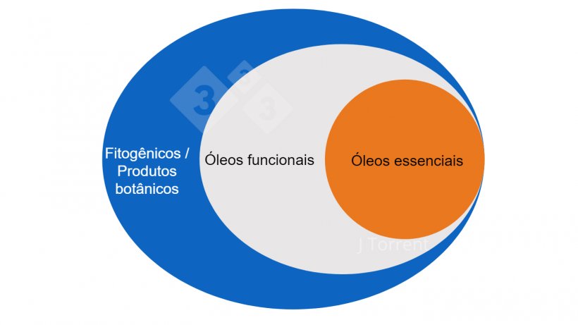 Figura 1. Ilustra&ccedil;&atilde;o da terminologia utilizada&nbsp;para descrever &oacute;leos essenciais, &oacute;leos funcionais e bot&acirc;nicos ou fitog&ecirc;nicos.
