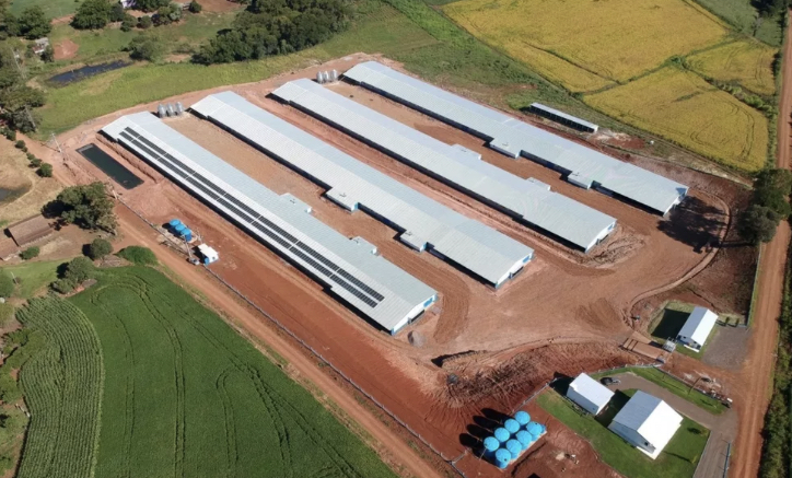 Granja de integrado da Seara com painel fotovoltaico — Foto: Divulgação.