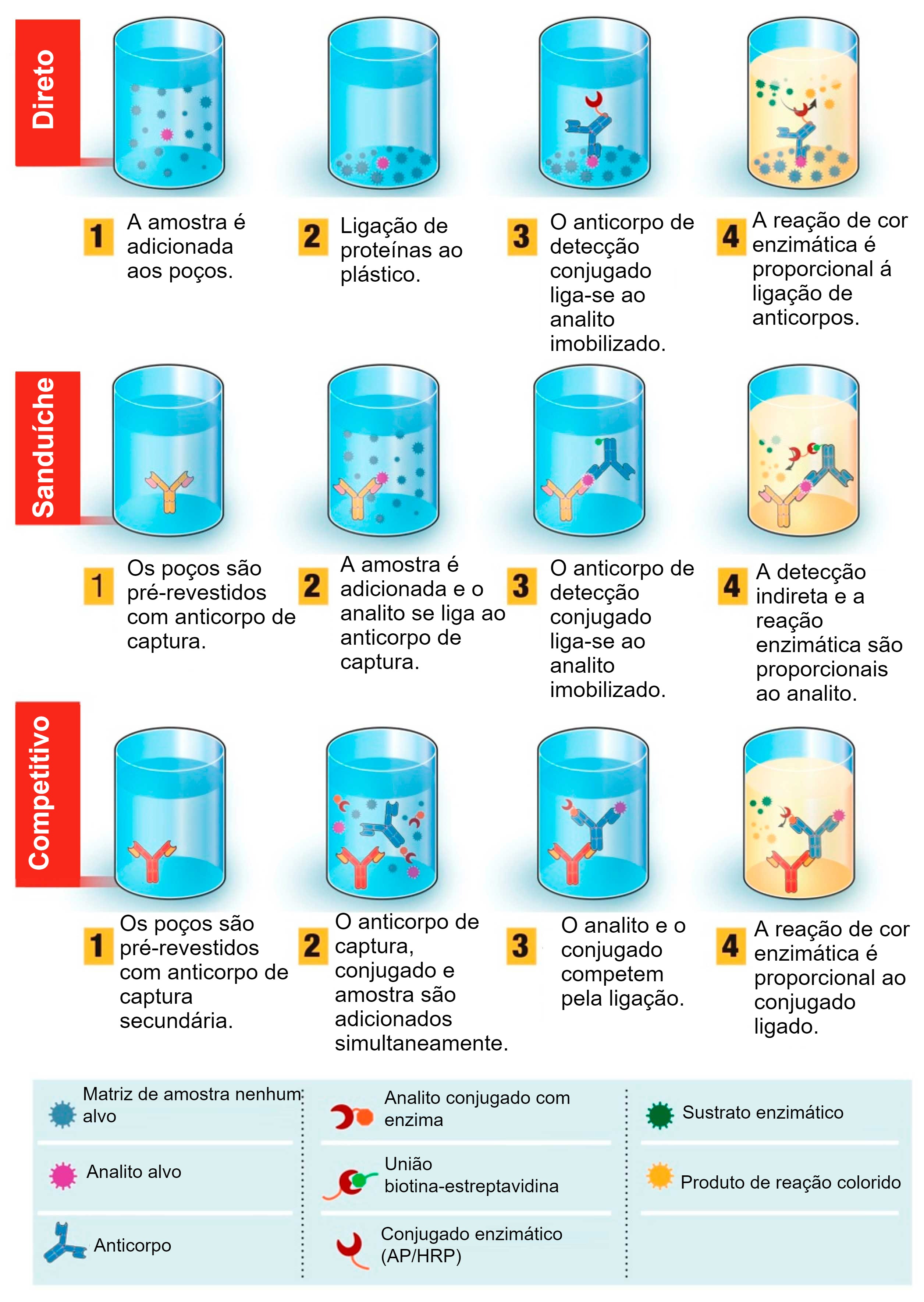 Gerador de Testes de Matemática Com Contas de Multiplicação