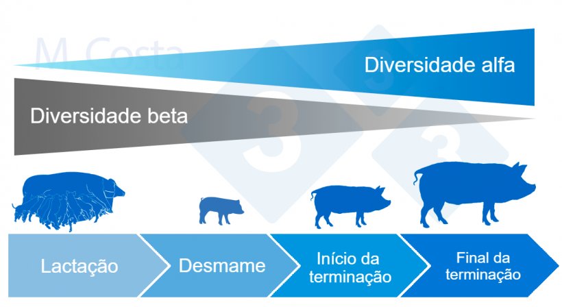 Figura&nbsp;4.&nbsp;Din&acirc;mica da diversidade alfa e beta durante a vida do su&iacute;no.
