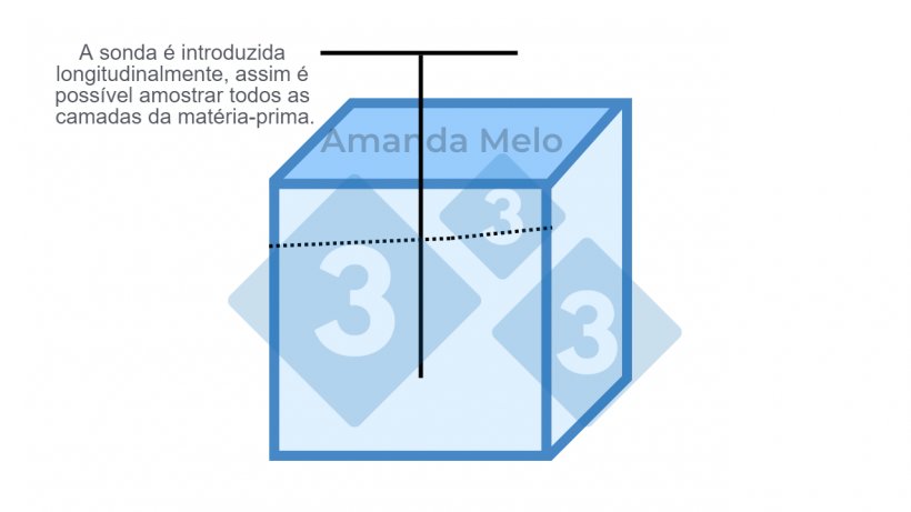 Figura 2: Esquema de pontos de amostragem em uma bag com uma sonda de calibre longo.
