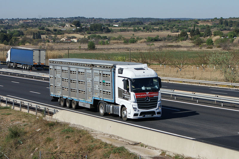 Transporte de cargas
