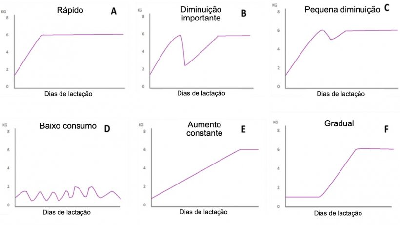 Figura 1. Padr&otilde;es de alimenta&ccedil;&atilde;o de f&ecirc;meas&nbsp;em lacta&ccedil;&atilde;o descritas por Koketsu et al (1996a). A) R&aacute;pido aumento no consumo; B) diminui&ccedil;&atilde;o significativa; C) pequena queda no consumo; D) baixo consumo ao longo da lacta&ccedil;&atilde;o; E) baixo consumo na primeira semana de lacta&ccedil;&atilde;o e aumento constante do restante da lacta&ccedil;&atilde;o; e F) aumento gradual do consumo.
