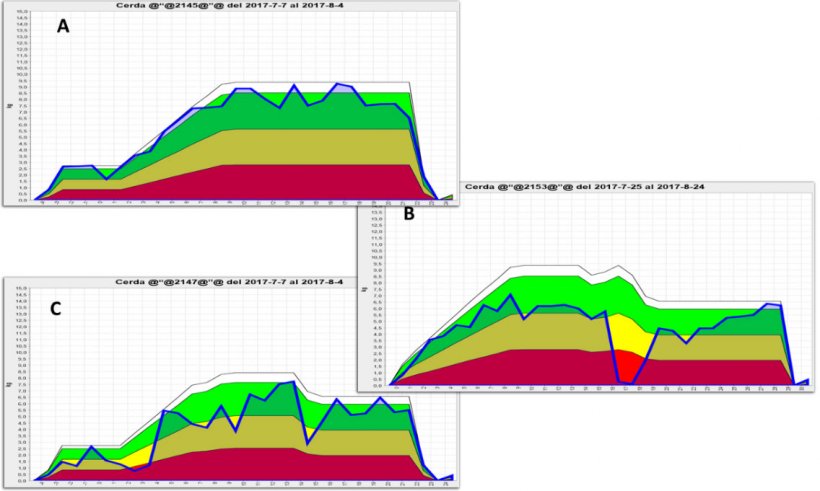 Figura 2. Representa&ccedil;&atilde;o gr&aacute;fica do consumo de f&ecirc;meas&nbsp;em lacta&ccedil;&atilde;o obtidas atrav&eacute;s do uso de alimentadores eletr&ocirc;nicos. A) Padr&atilde;o de consumo normal, B) diminui&ccedil;&atilde;o significativa; e C) pequena queda no consumo durante a lacta&ccedil;&atilde;o. A &aacute;rea verde mostra a ingest&atilde;o ideal para essa f&ecirc;mea&nbsp;em particular, a &aacute;rea amarela &eacute; um aviso de que a ingest&atilde;o est&aacute; sendo reduzida e a &aacute;rea vermelha representa um forte desvio do padr&atilde;o normal de consumo e um alto risco de deteriora&ccedil;&atilde;o reprodutiva subsequente . Fonte: GESTAL SOLO, JYGA Technologies.
