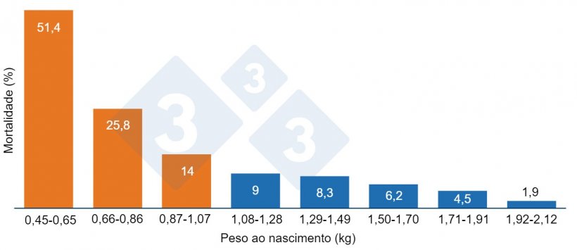 Gr&aacute;fico 1. Mortalidade pr&eacute;-desmame em fun&ccedil;&atilde;o do peso ao nascer. Leit&otilde;es com peso inferior a 1,07 quilos (laranja) apresentam maior mortalidade.
