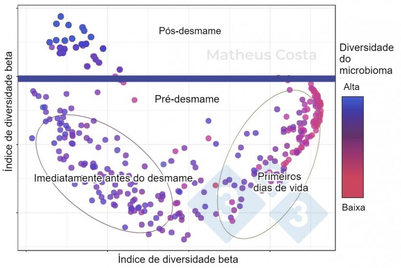 Figura 1. Gr&aacute;fico de dispers&atilde;o mostrando as associa&ccedil;&otilde;es entre a composi&ccedil;&atilde;o do microbioma dos su&iacute;nos durante os primeiros dias de vida (0-7 dias), imediatamente antes do desmame (21 dias) e ap&oacute;s o desmame (100 dias). A maior mudan&ccedil;a &eacute; observada entre as amostras pr&eacute;-desmame e p&oacute;s-desmame. A diversidade alfa atinge o pico ap&oacute;s o desmame (mostrado como &quot;diversidade do microbioma&quot;).
