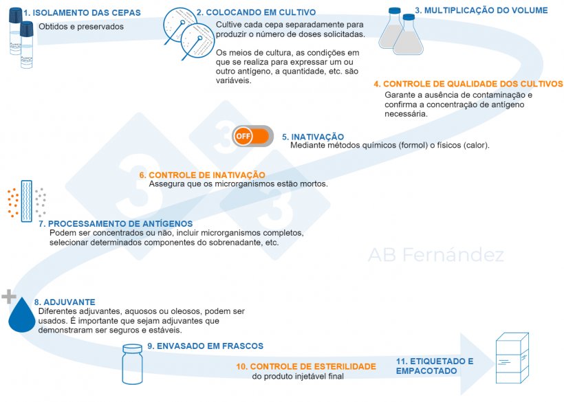 Figura 1. Esquema de fabrica&ccedil;&atilde;o de uma aut&oacute;gena.
