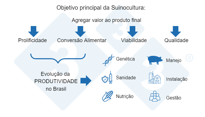 Figura 1: Pilares b&aacute;sicos da produ&ccedil;&atilde;o de su&iacute;nos.&nbsp;
