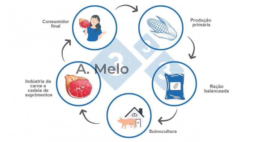 Gr&aacute;fico 1: Gr&aacute;fico da cadeia alimentar desde a produ&ccedil;&atilde;o prim&aacute;ria at&eacute; a mesa do consumidor final.
