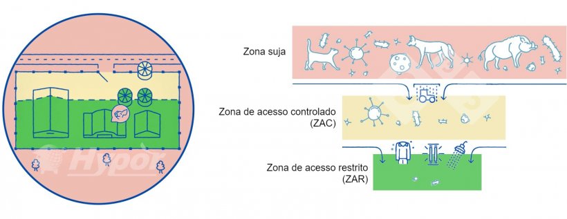 Diferentes zonas sanit&aacute;rias em uma granja.
