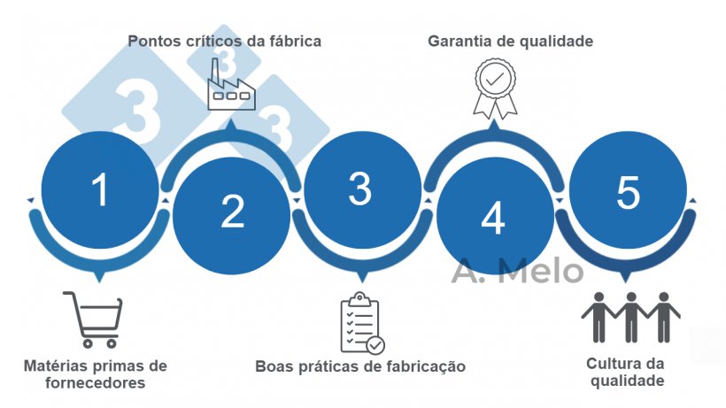 Figura 1. Os&nbsp;cinco pontos&nbsp;para alcan&ccedil;ar a seguran&ccedil;a na alimenta&ccedil;&atilde;o balanceada.
