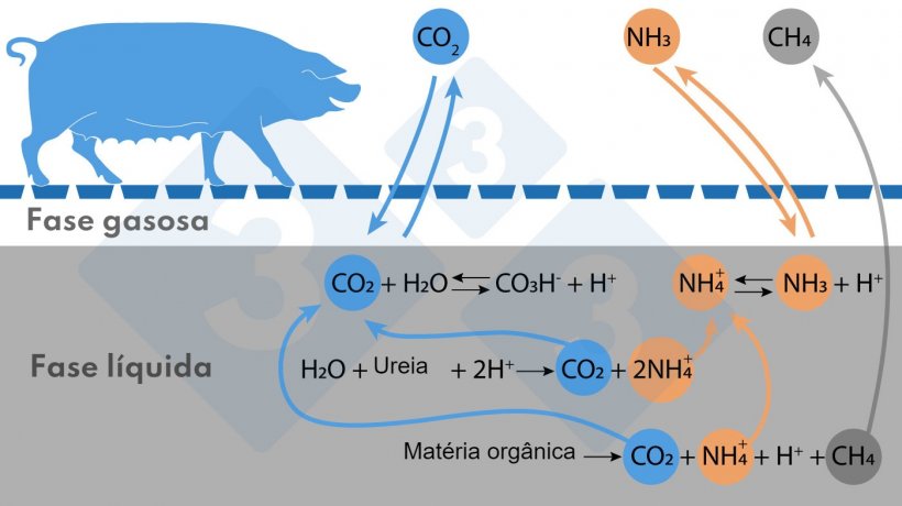 Figura. Esquema simplificado das rea&ccedil;&otilde;es que afetam as emiss&otilde;es de NH3 e CH4
