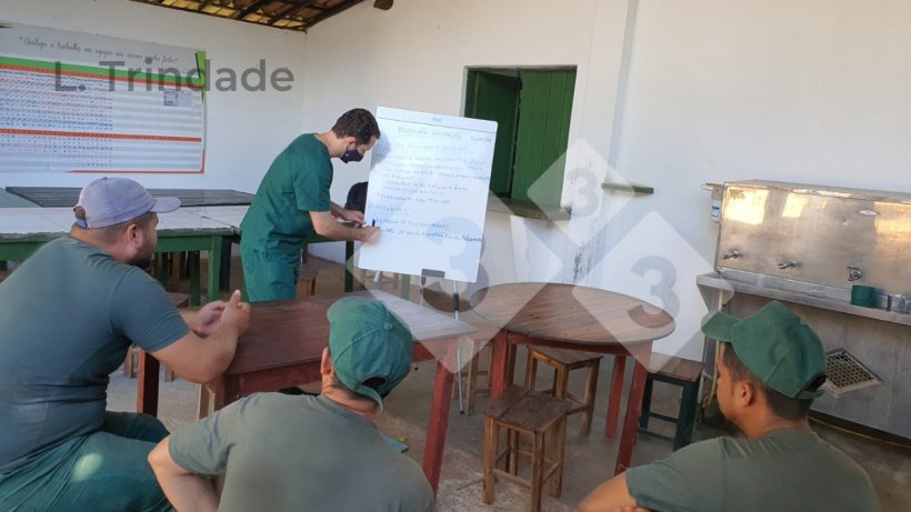 Foto&nbsp;1.&nbsp;Quando o treinamento inclui aspectos t&eacute;cnicos e comportamentais e faz parte de um cronograma de atividades na granja, os jovens se sentem mais valorizados e com mais oportunidades de crescimento.
