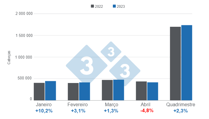 Gr&aacute;fico 1. Abate&nbsp;de su&iacute;nos na Col&ocirc;mbia no primeiro quadrimestre de 2023, n&uacute;meros em cabe&ccedil;as, Elaborado pelo Departamento de Economia e Intelig&ecirc;ncia de Mercado da 333 com dados do DANE.
