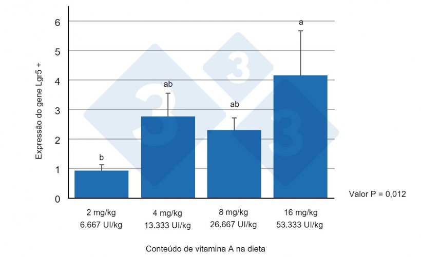 Figura 1. Express&atilde;o do gene Lgr5+ no jejuno de leit&otilde;es desmamados, alimentados com diferentes n&iacute;veis de vitamina A. Letras diferentes indicam diferen&ccedil;as estatisticamente significativas (p&lt;0,05). Fonte: Wang et al. (2020).
