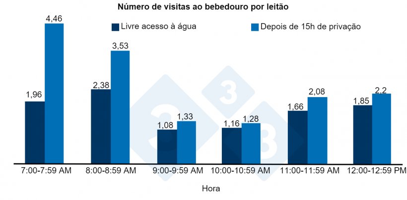 Figura 1. N&uacute;mero de visitas ao bebedouro por leit&atilde;o ap&oacute;s 15 h de priva&ccedil;&atilde;o ou livre acesso &agrave; &aacute;gua.
