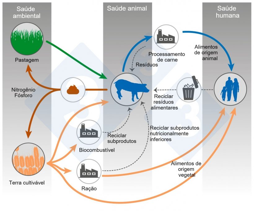 Alimenta&ccedil;&atilde;o animal e One Health.&nbsp;Modificado de Shurson e Urriola 2022.
