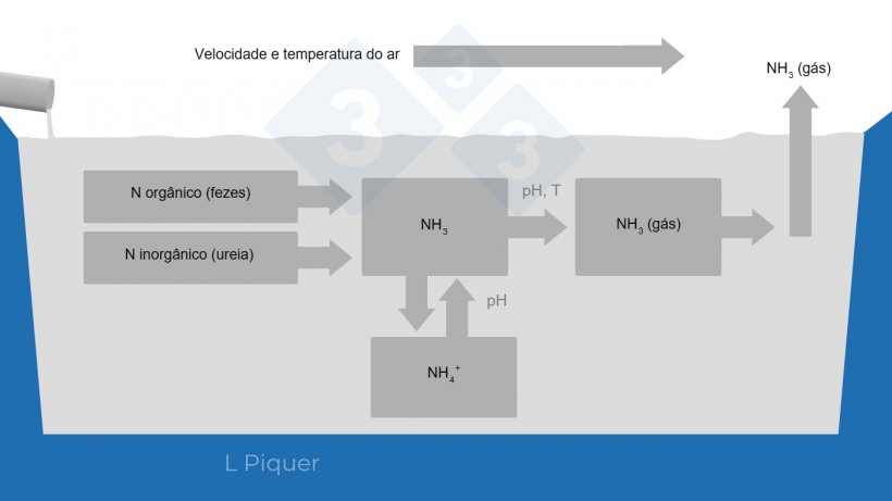 Gr&aacute;fico 2.&nbsp;Ciclo de forma&ccedil;&atilde;o de am&ocirc;nia (NH3) durante o armazenamento de dejeto.
