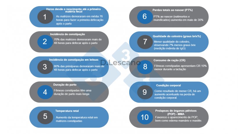 Figura 2.&nbsp;Resumo dos efeitos da constipa&ccedil;&atilde;o no desempenho das matrizes.
